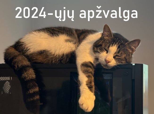 2024-ųjų apžvalga