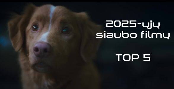 2025-ujų siaubo filmų top 5